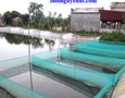 Cơ hội giao thương