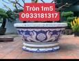 Vườn, Ngoại thất