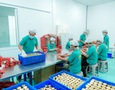 Điện lạnh, Máy, Gia dụng