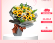 Vườn, Ngoại thất