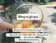 Mua sắm, Tổng Hợp
