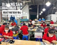 Điện lạnh, Máy, Gia dụng