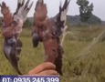 Cơ hội giao thương