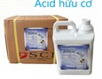 Cơ hội giao thương