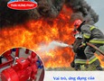 Cơ hội giao thương