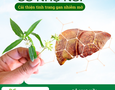 Mua sắm, Tổng Hợp