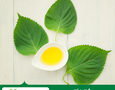 Mua sắm, Tổng Hợp