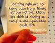 Mua sắm, Tổng Hợp