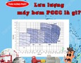 Cơ hội giao thương