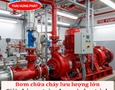Cơ hội giao thương