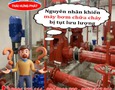 Cơ hội giao thương