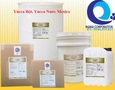 Cơ hội giao thương