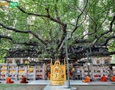 Cơ hội giao thương
