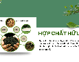 Cơ hội giao thương