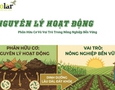 Cơ hội giao thương