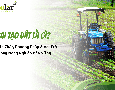Cơ hội giao thương