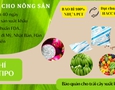 Cơ hội giao thương