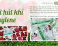 Cơ hội giao thương