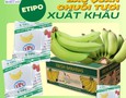 Cơ hội giao thương