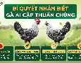 Cơ hội giao thương