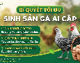 Cơ hội giao thương
