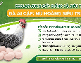 Cơ hội giao thương