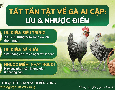 Cơ hội giao thương