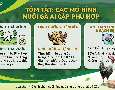 Cơ hội giao thương