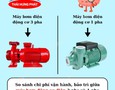 Cơ hội giao thương