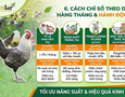 Cơ hội giao thương