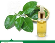 Mua sắm, Tổng Hợp
