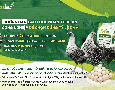 Cơ hội giao thương