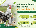 Cơ hội giao thương