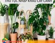 Cơ hội giao thương