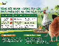 Cơ hội giao thương