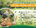 Cơ hội giao thương