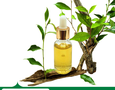 Mua sắm, Tổng Hợp