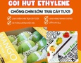 Mua sắm, Tổng Hợp