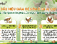 Cơ hội giao thương