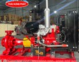 Điện lạnh, Máy, Gia dụng