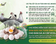 Cơ hội giao thương