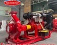 Điện lạnh, Máy, Gia dụng