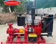Điện lạnh, Máy, Gia dụng