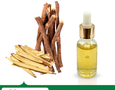 Mua sắm, Tổng Hợp
