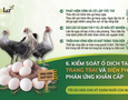 Cơ hội giao thương