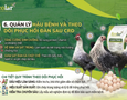 Cơ hội giao thương