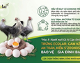Cơ hội giao thương