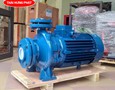 Điện lạnh, Máy, Gia dụng