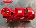 Điện lạnh, Máy, Gia dụng