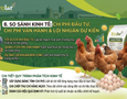 Cơ hội giao thương
